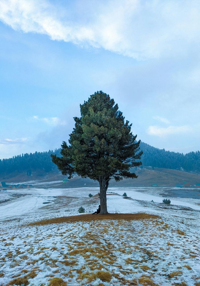 images/new-deal/Kashmir Tour Package 6 Nights 7 Days 2.jpg